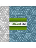 BUDATEST | 2024-25 • belépő felmérések konzultációja